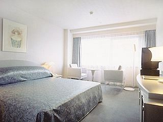 Hotel Kawagoe 4*
